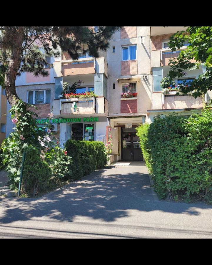 Hermann Apartment Cluj-Napoca Exterior photo
